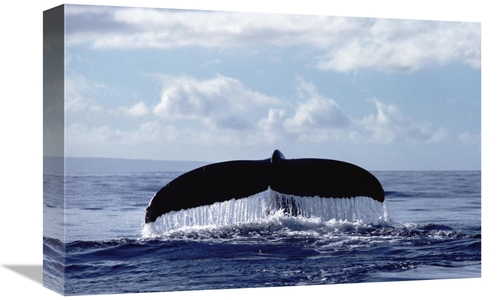 Global Gallery GCS-450578-1218-142 12 x 18 in. Humpback Whale Tail Art