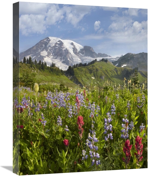 Global Gallery GCS-396889-1824-142 18 x 24 in. Paradise Meadow & Mount