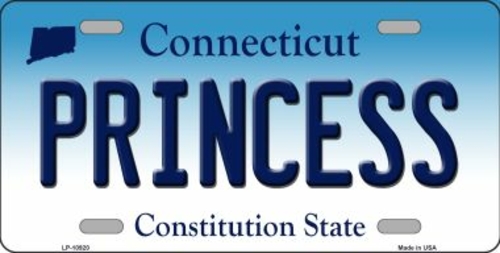 Smart Blonde LP-10920 6 x 12 in. Princess Connecticut Novelty Metal Va