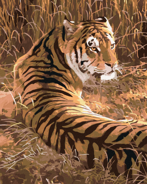 Paint by Numbers - TIGER LYING IN GRASS (AL AGNEW)