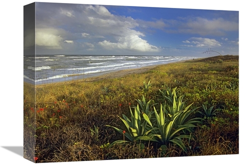 Global Gallery GCS-396361-1216-142 12 x 16 in. Apollo Beach at Canaver