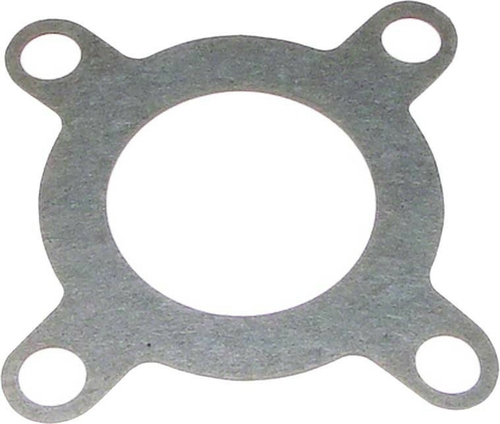 ALA-PT APCG3382 The Aqua-Flo Gasket