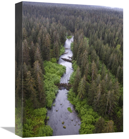 Global Gallery GCS-395449-1216-142 12 x 16 in. Stream & Boreal Forest&