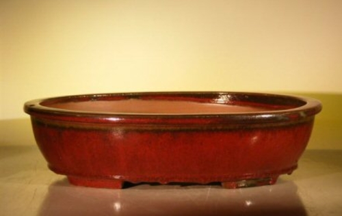 Parisian Red Ceramic Bonsai Pot - Oval16.0" x 12.5" x 4.0"