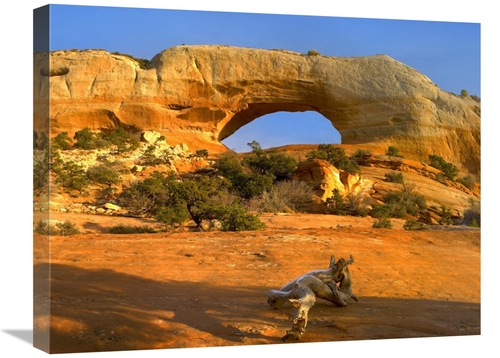 Global Gallery GCS-397187-1824-142 18 x 24 in. Wilson Arch with A Span