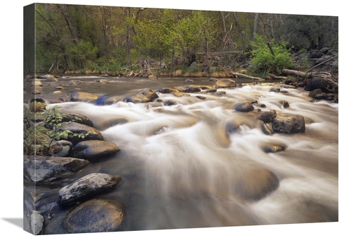 Global Gallery GCS-396241-1824-142 18 x 24 in. Oak Creek at Grasshoppe