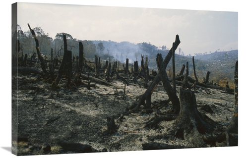 Global Gallery GCS-398529-2436-142 24 x 36 in. Slash & Burn Agricultur