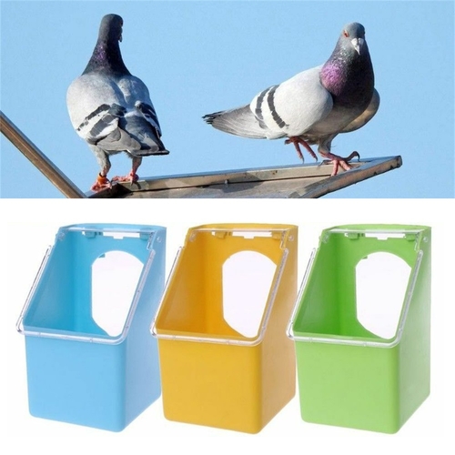 Plastic Pigeons Water Feeder Parrot Hanging