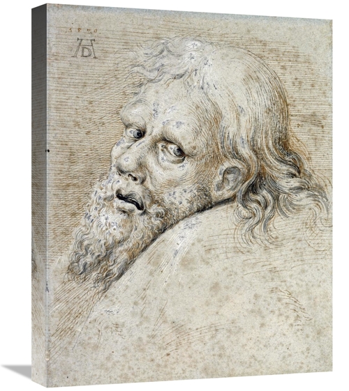 Global Gallery GCS-266557-22-142 22 in. The Head of a Bearded Man Art 