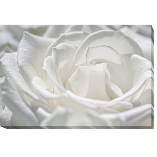 Artistic Home Gallery 1624Z485CG Coolness by Dina Maria Premium Galler