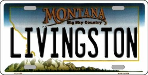 Smart Blonde LP-11098 6 x 12 in. Livingston Montana Novelty Metal Vani