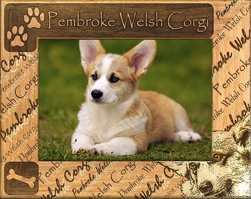 Giftworks Plus DBA0131 Pembroke Welsh Corgi- Alder Wood Frame- 8 x 10 