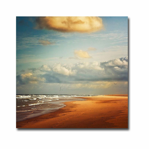 Artistic Home Gallery 3030I787IG Dream Beach by Dirk Wuestenhagen Prem