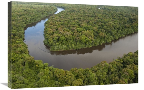 Global Gallery GCS-397927-2030-142 20 x 30 in. Rainforest & Essequibo 