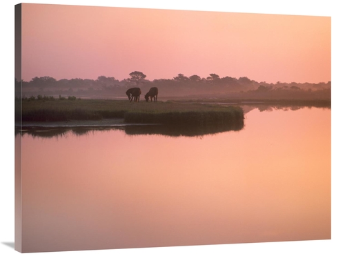Global Gallery GCS-396795-3040-142 30 x 40 in. Wild Horse Pair Grazing