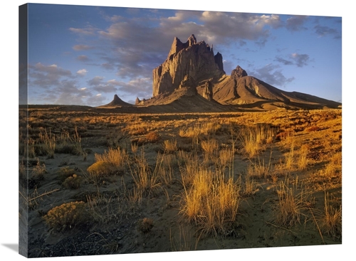 Global Gallery GCS-452272-2432-142 24 x 32 in. Shiprock, the Basal