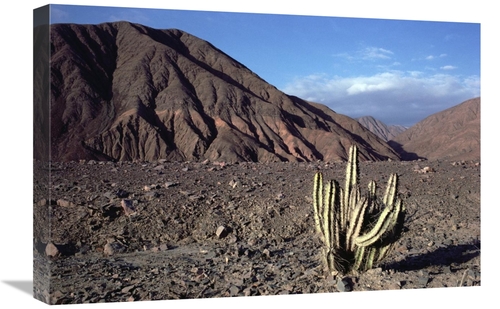 Global Gallery GCS-451083-1624-142 16 x 24 in. Atacama Desert Located 