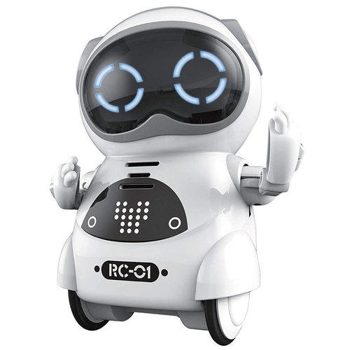 Pocket Robot Talking Interactive Dialogue Voice