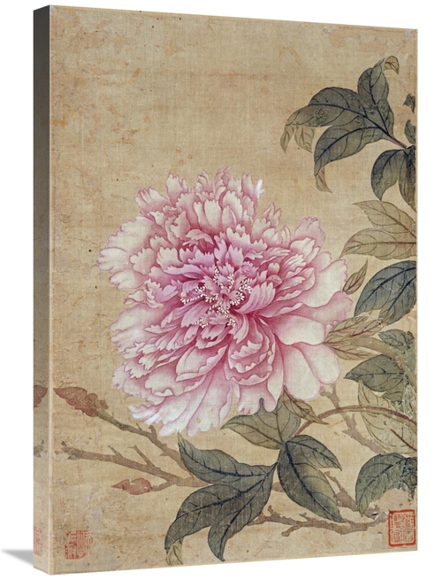 Global Gallery GCS-267287-30-142 30 in. Peony Art Print - Yun Shouping