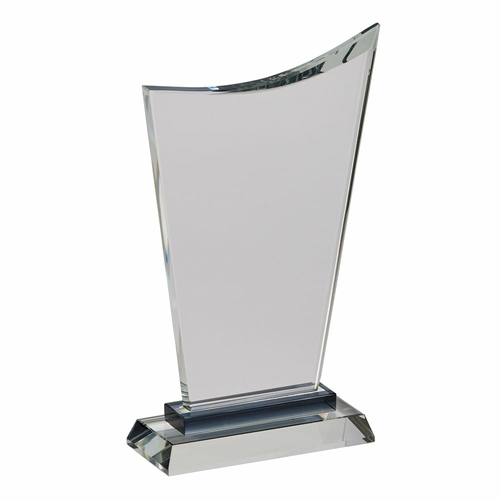 10.25 in. Wave Trophy with Hightlight, Black - Medium