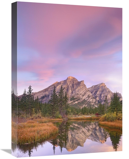 Global Gallery GCS-452159-1824-142 18 x 24 in. Mount Kidd & Trees Refl