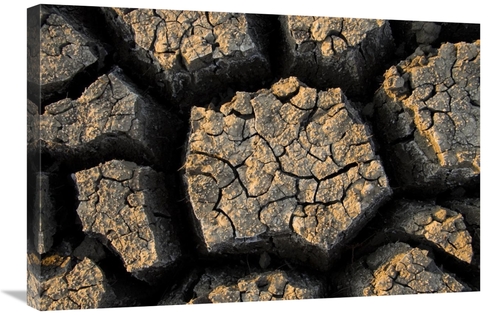 Global Gallery GCS-397438-2030-142 20 x 30 in. Cracked, Dried Out 