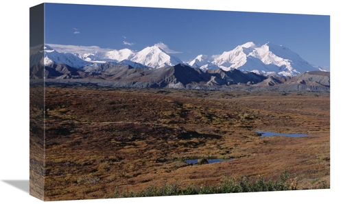 Global Gallery GCS-451905-1218-142 12 x 18 in. Tundra & Mt Denali,