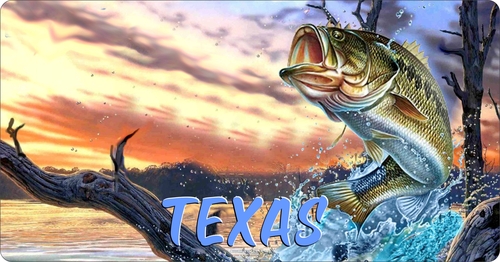 License Plate Travel Poster Art Bass Fishing Texas