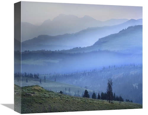 Global Gallery GCS-396549-16-142 16 in. Mist Over Absaroka Range, 