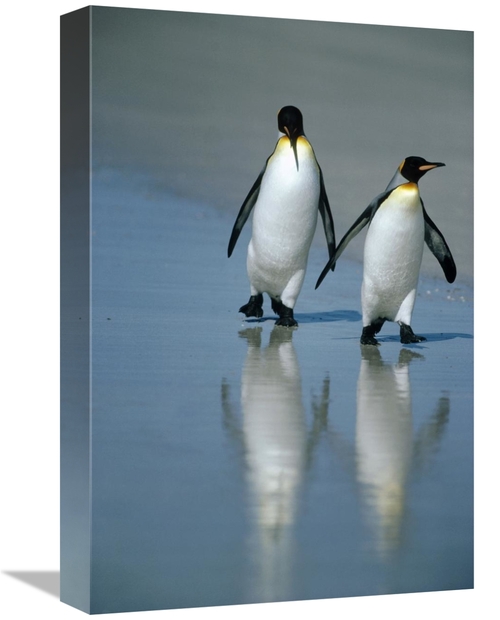 Global Gallery GCS-451111-1218-142 12 x 18 in. King Penguin Pair on La