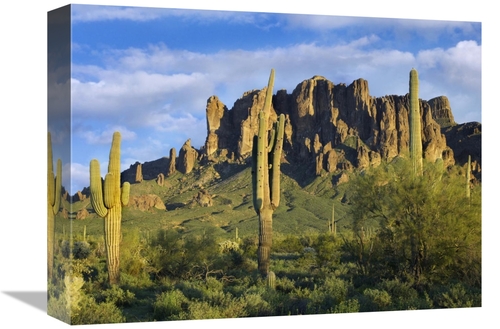 Global Gallery GCS-396947-1216-142 12 x 16 in. Saguaro Cacti & Superst