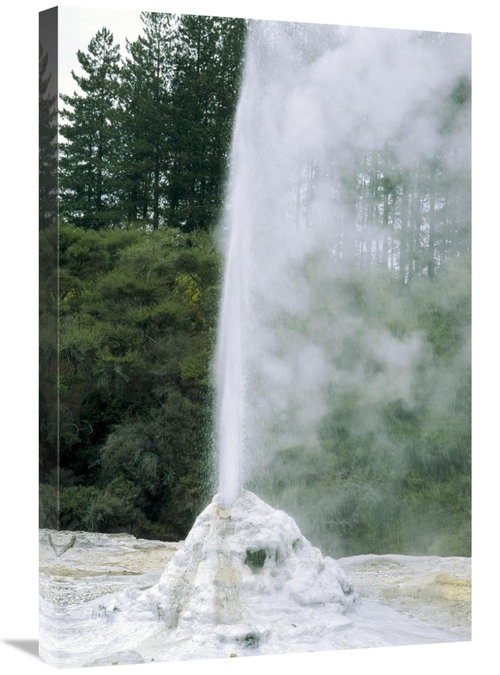 Global Gallery GCS-452462-2030-142 20 x 30 in. Lady Knox Geyser Erupti