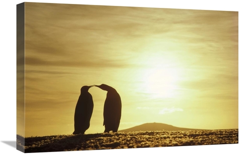 Global Gallery GCS-451113-1624-142 16 x 24 in. King Penguins & Austral