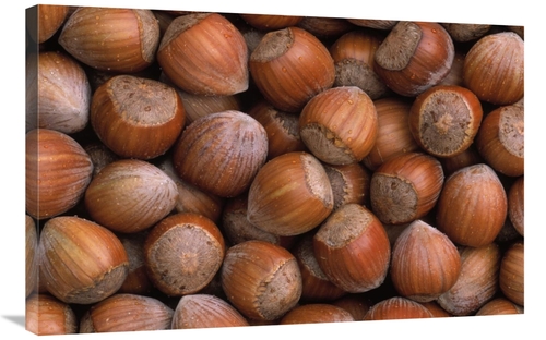 Global Gallery GCS-398204-2436-142 24 x 36 in. Hazelnut Europe Art Pri