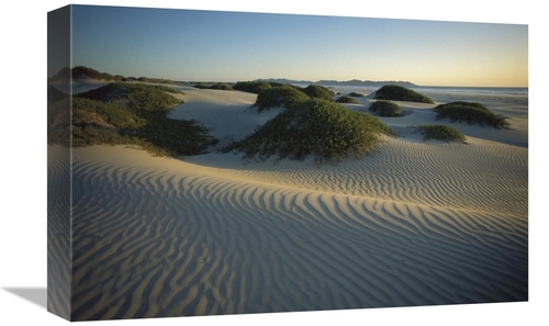 Global Gallery GCS-451703-1218-142 12 x 18 in. Sand Dunes Stabilized b