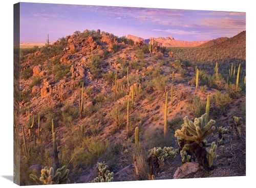 Global Gallery GCS-395942-2432-142 24 x 32 in. Panther & Safford Peaks