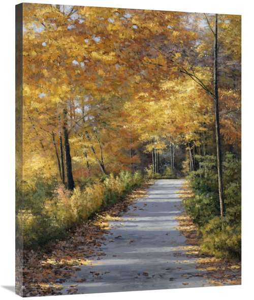 Global Gallery GCS-136844-2835-142 28 x 35 in. Late Fall Art Print - D
