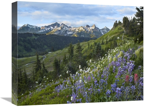Global Gallery GCS-396790-1620-142 16 x 20 in. Wildflowers & Tatoosh R