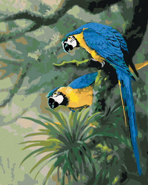 Zuty - Paint by Numbers – A PAIR OF BLUE-AND-GOLD MACAWS ON A BRANCH
