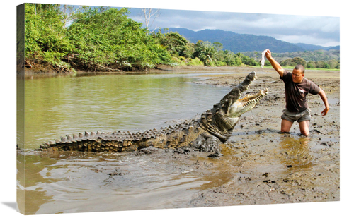 Global Gallery GCS-486591-36-142 36 in. Whats for Dinner Art Print - V