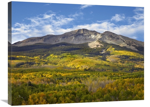 Global Gallery GCS-396799-2432-142 24 x 32 in. Aspen Forest & East Bec