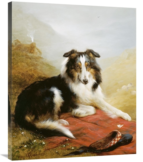 Global Gallery GCS-266236-36-142 36 in. A Collie, the Guardian of 