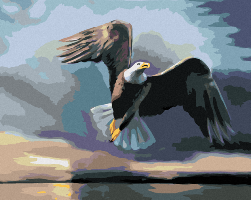 Zuty - Paint by Numbers - EAGLE OVER WATER, DARK BACKGROUND (D. RUSTY