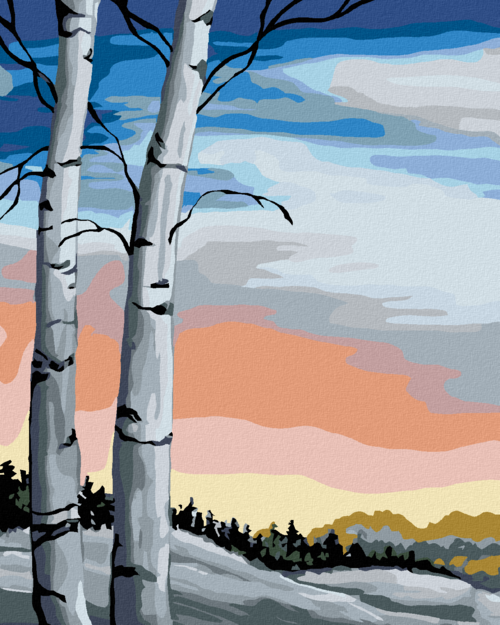 Paint by Numbers - CAT IN WILDFLOWERS