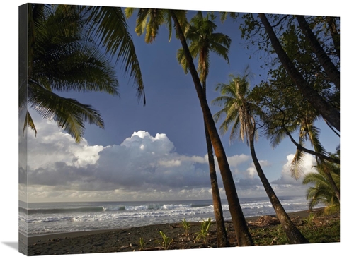 Global Gallery GCS-396768-2432-142 24 x 32 in. Palm Trees on the Beach