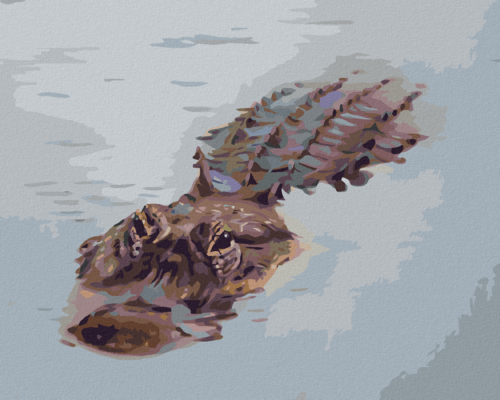 Zuty - Paint by Numbers - ALLIGATOR FLOATING IN WATER (D. RUSTY RUST),