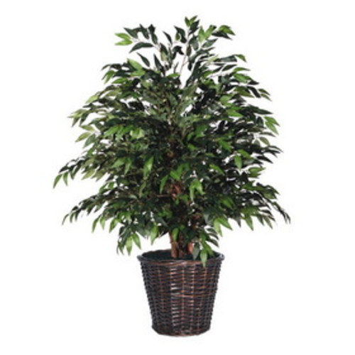 Vickerman TXX1440 4 ft. Green Smilax Extra Full