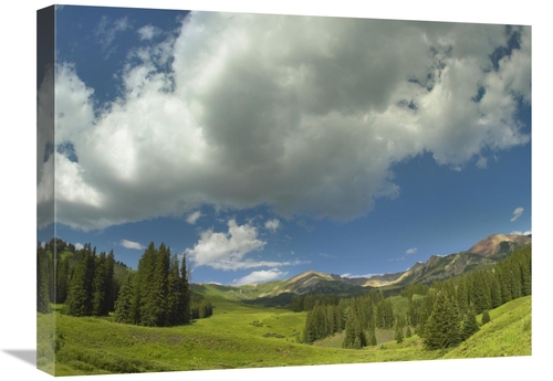 Global Gallery GCS-396726-1824-142 18 x 24 in. Stand of Conifers in th