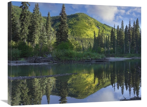 Global Gallery GCS-396290-2432-142 24 x 32 in. Pine River, Hart Ra