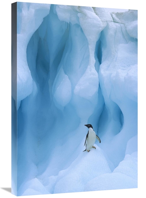 Global Gallery GCS-397777-2030-142 20 x 30 in. Adelie Penguin on Icebe